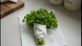 How A Simple Paper Towel Lining Method Keeps Coriander Fresh And Ready For Monsoon Snacks