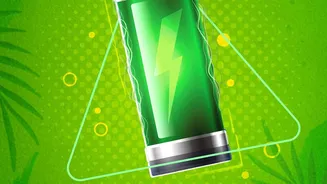 How Scientists Are Using Agricultural Waste To Make Safer Non Flammable EV Batteries