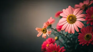 5 Subtle Signs You're Outgrowing a Friendship & How to Gracefully Move On