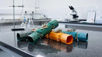 What Limits Are Placed On Firework Manufacturers For Diwali Green Crackers