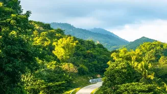 Skip the Familiar Ladakh Circuit for Arunachal's Dirang-to-Mago Road