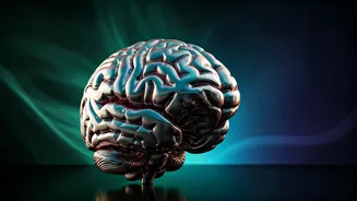 Unlock Your Emotional Superpower: 10 Simple Habits for Higher Emotional Intelligence