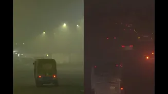 Delhi-NCR Wakes Up To Dense Fog, Reduced Visibility; Airport Warns Of Flight Delays