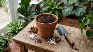 Change Indoor Plant Soil Safely Easily Using This Beginners Guide To Repotting Houseplants