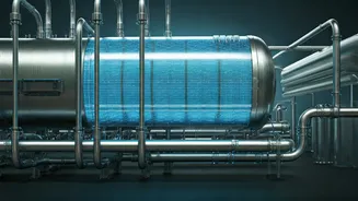 India & Germany's Strengthening Bonds in Education and Energy