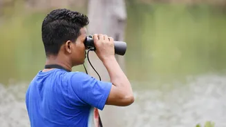 How birdwatching can calm your mind