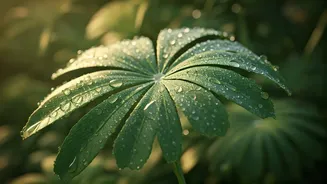 Give Your Skin A Monsoon-Friendly Routine This Season