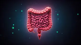 Good Health Starts With A Healthy Gut