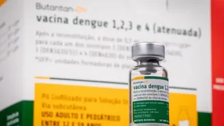 Ministério da Saúde suspende vacina da dengue do Butantan após mortes suspeitas