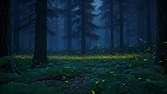 Firefly Trails Promise A Once-In-A-Season Experience