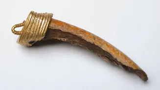 Dentes antigos revelam o impacto da mineração de chumbo na Inglaterra medieval