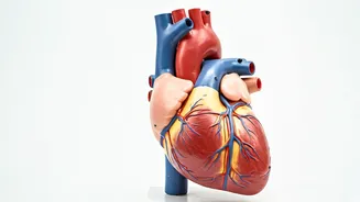 Ageing Signs? Science Can Help You Slow Down.