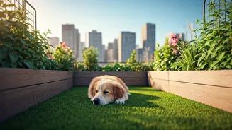 How Rooftop Gardening Combats Pet Depression Across Concrete Urban Metros