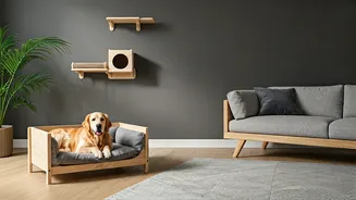 Where Great Design Meets Happy Pets
