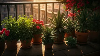 10 Sun-Kissed Balcony Stars: Plants That Conquer the Heat!