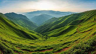 Escape the Crowds: Discover South India's 7 Serene Hill Station Paradises