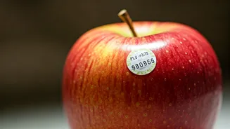 Decoding Fruit Stickers: More Than Just a Price Tag - Uncover the Truth!