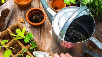 Start Seasonal Garden Planning with Kharif Timing after India's Three Growing Seasons