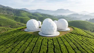 Twenty Indian Gateway Sites Prepare Starlink For Future Service