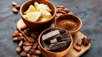 Understanding Chocolate Face Masks: Chocolate-Based Face Mask Ideas At Home