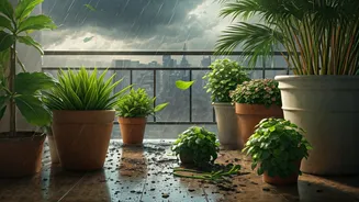 Balcony Plants Are Not Always Ready For Storm Drama
