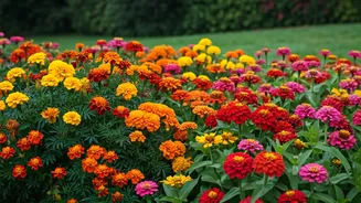 Annual Flowers Make Rain-Season Prep Look Pretty