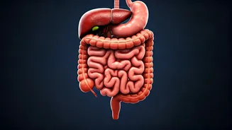The Hidden Health Cost Of Fast Eating