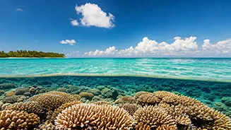 Coral, Beaches And Calm Adventure Define Andaman Trips
