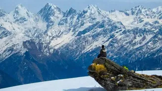 India's First High-Altitude Safari Explained Through Conservation and Control