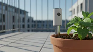 How Micro-Engineered Soil Probes Help City Gardeners Master Balcony Plant Hydration
