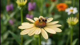 Pollinators Need Safe Landing Places, Not Only Bright Colours