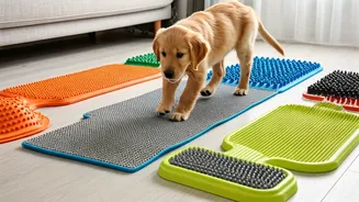 Pet Parents Use Texturized Mats For Custom Sensory Obstacles