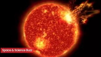 Science & Space Roundup: Top News of the Day (March 31)