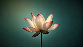 Sadhguru's 10 Profound Love Quotes: Elevating Marriage & Connections