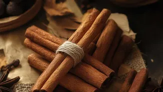 Ceylon Cinnamon Usually Has More Layers Than Cassia Bark