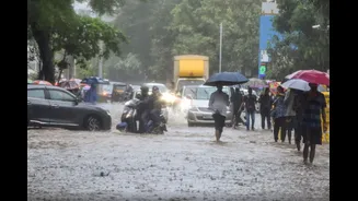 Videos: Mumbai Drenched By Heavy Rain; Waterlogging, Landslides Disrupt Life Across Maharashtra