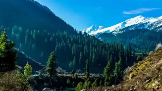 Kasol And Jibhi Workations: Affordable Homestays For Tech Workers Seeking Autumn Peace