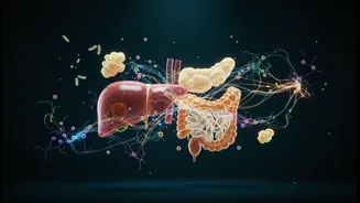 A Clearer Look at Organ-To-Organ Protein Signals and its Impact on Fat, Liver and Immune Messaging