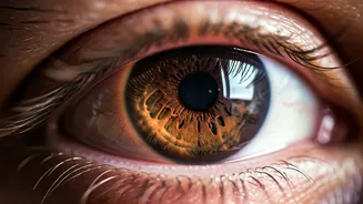 Related Stories banner