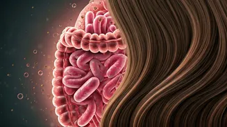 The Gut-Hair Connection: New Study Reveals How Digestive Health Impacts Male Baldness in India