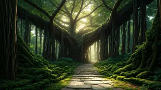 Tree Walks Are The New Delhi Discovery Hack