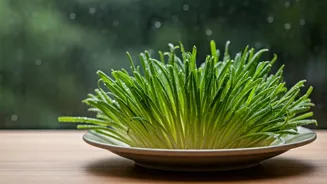 Raw Sprouts Take A Backseat This Monsoon