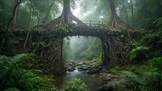 Why Shillong And Cherrapunji Are Becoming Top Monsoon Remote Work Havens