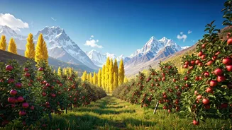 Apple Orchards And Snow Views Make Harsil Pop