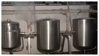 Cooking gas from dry leaves? IIT Bombay develops indigenous technology to ease LPG crisis