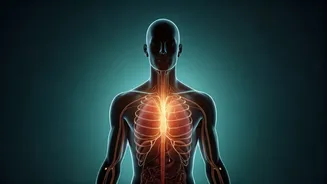 10 Subtle Signals Your Body Needs a Reset, According to a US Doctor