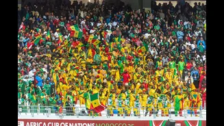 Brazil vs Morocco, 3:30 AM IST tonight — India's first big-alarm World Cup match