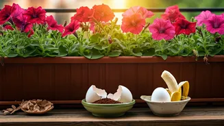 Boost Summer Balcony Flower Blooms With Organic Kitchen Scraps