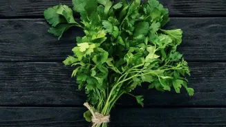 Forest Ingredients Need Responsible Sourcing And Careful Identification, But Bring Wild Herbs, Leaves And Seasonal Produce Into Focus