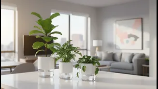 Why urban millennials choose self-watering capillary pots for stress-free apartment gardening setups